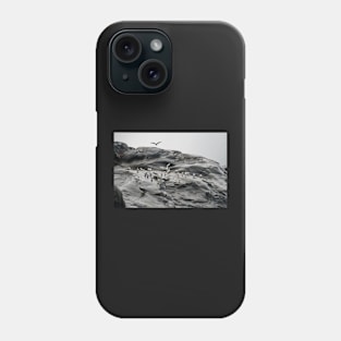 birds at Greenland Phone Case