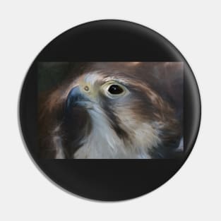 Saker Falcon Pin