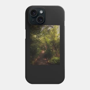 Boardwalk into the Forest Phone Case