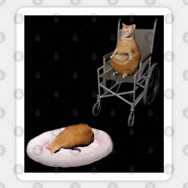Cat In A Wheelchair Meme Sticker Teepublic