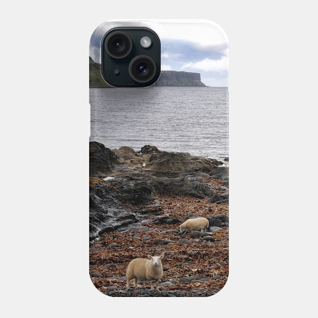 Sheep feeding on seaweed, Skye Phone Case by richflintphoto