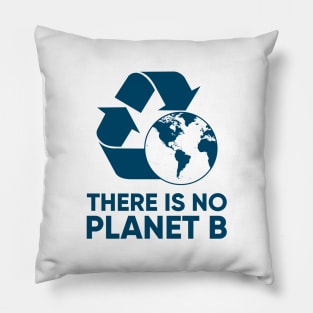 There is NO Planet B Pillow