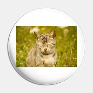 blb kitty Pin