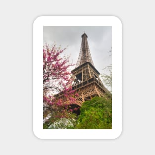 I Love Paris In The Springtime Magnet