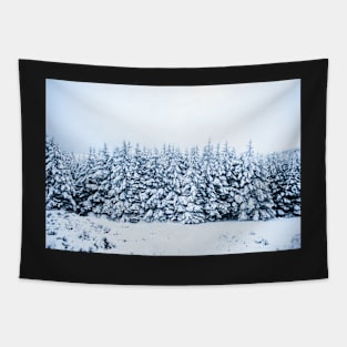 Wicklow Gap Snowy Trees Tapestry