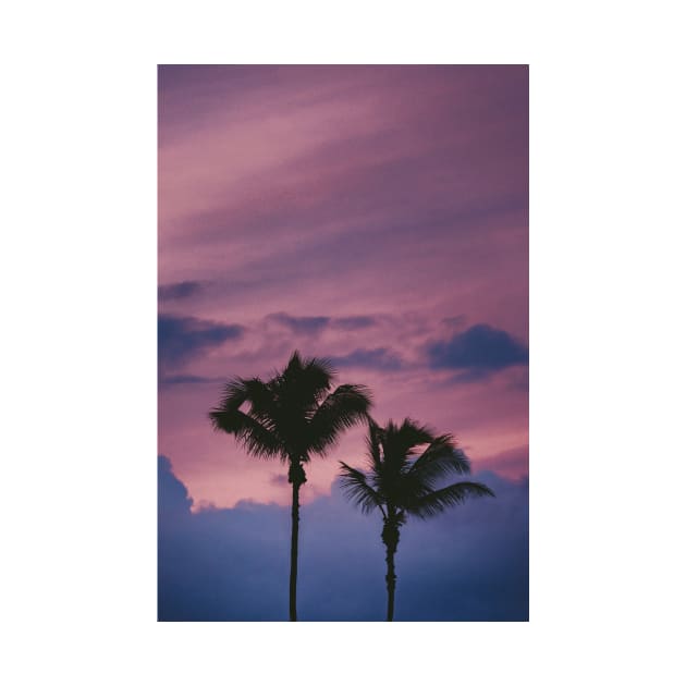 Cotton Candy Palm Tree Sunset by NewburyBoutique