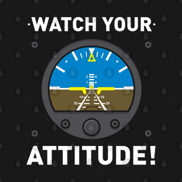 AVIATION: Watch Your Attitude by woormle