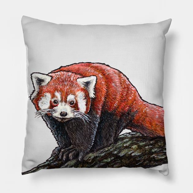 RED PANDA Pillow by PaddlesworthDraws