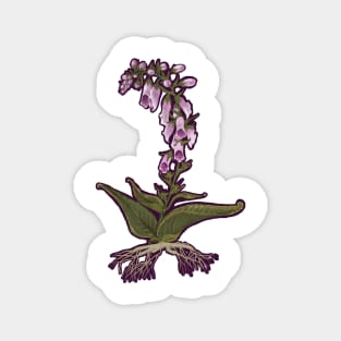 Hand-drawn Foxglove Flower Magnet