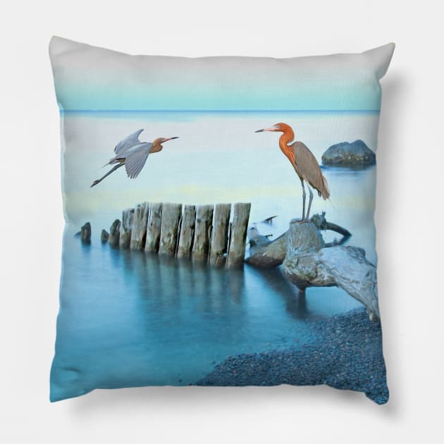 Reddish Egrets at the Coast Pillow by lauradyoung