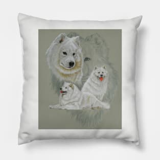 Samoyed Medley Pillow