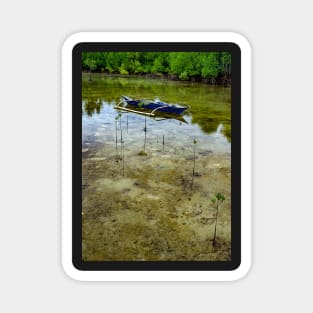 Boat in the mangrove lake Magnet