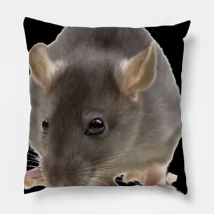 Rat Is Short For Ratthew Pillow
