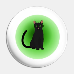 Hollyleaf warrior cat Pin