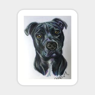 Staffordshire Bull Terrier Magnet