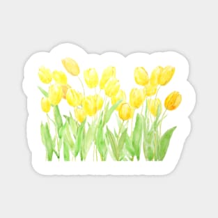 yellow tulips field Magnet