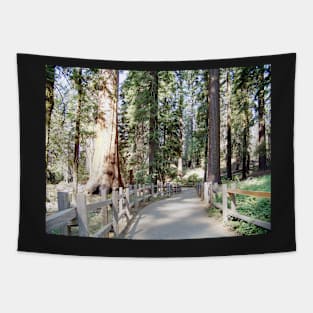 Yosemite Pathway Tapestry