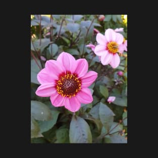 Blue Bayou Anemone Dahlia T-Shirt