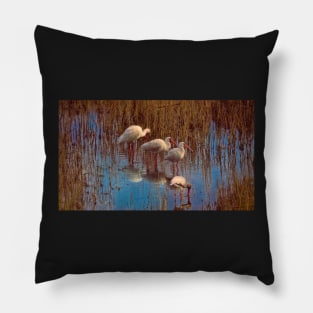 White Ibis at Sunset Pillow