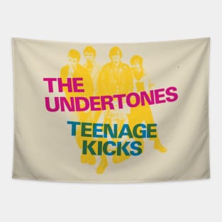 The Undertones Teenage kicks Tapestry