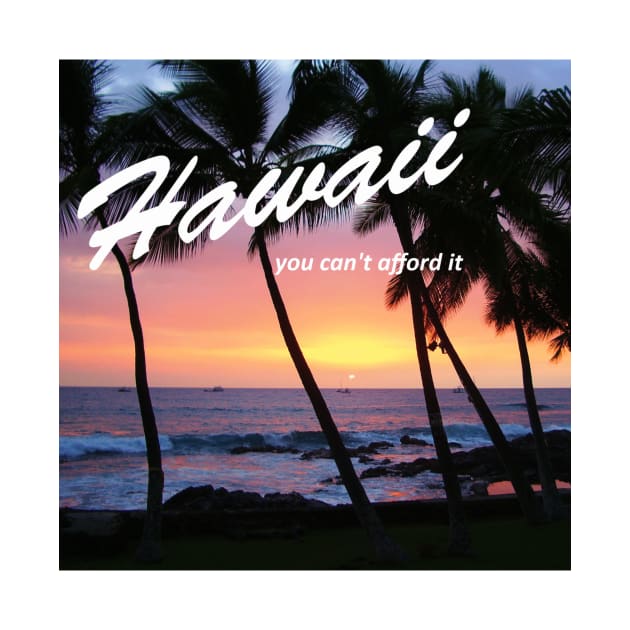 Hawaii - You Can't Afford It: Funny Parody of Vacation Souvenir by Naves