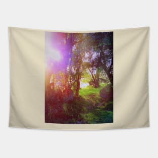 Retro Vintage Tumblr Landscape - Into The Woods Tapestry