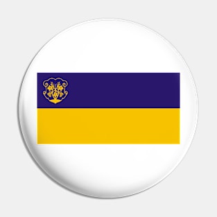 Uzhhorod Pin