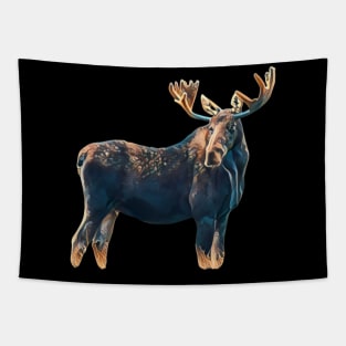 Moose - Woodland Themed Kids Room, Funny Gifts For Forester, Cute Animals Tapestry