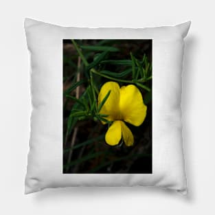 Common Wedge Pea Pillow