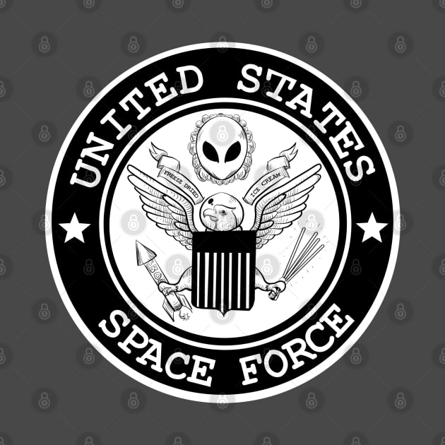 United States Space Force by LVBart