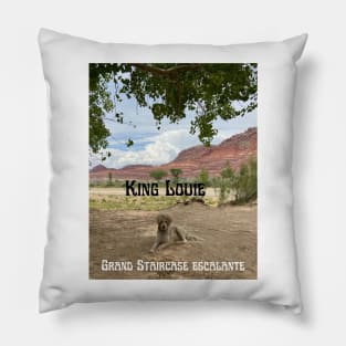 King Louie at the Grand Staircase Escalante National Monument Pillow