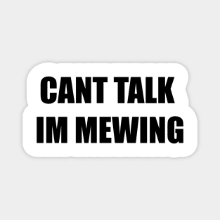 Can't talk, I'm Mewing Magnet