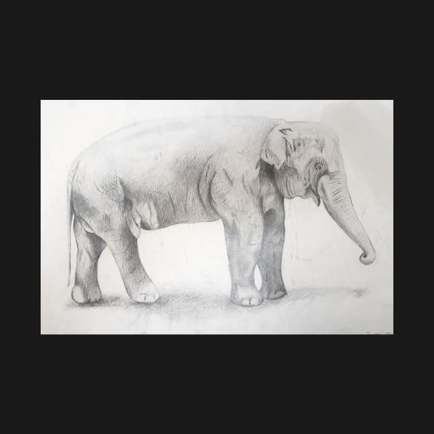 Elephant Drawing by Dasom by MHS Art