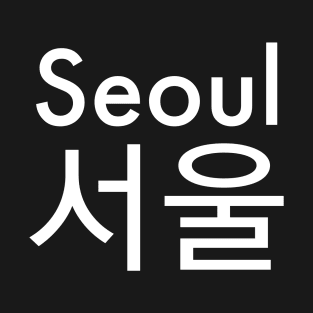 Seoul ,서울,Seoul in korean,Cities in korean T-Shirt