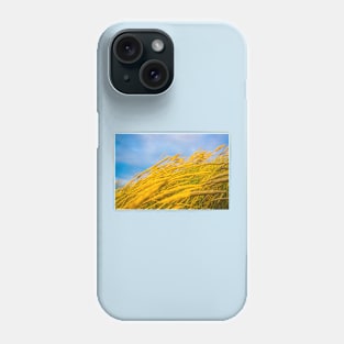 Wavering golden grass. Phone Case