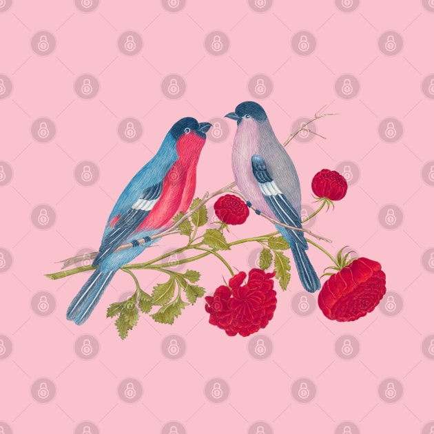 Two Bullfinch Birds and Red Flowers Wildlife Illustration by Biophilia