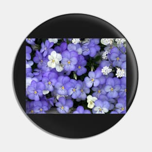 Purple Violas Pin