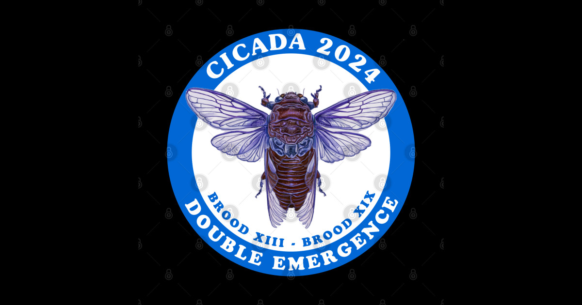 Cicada 2024 double emergence brood xiii Cicada 2024 Sticker