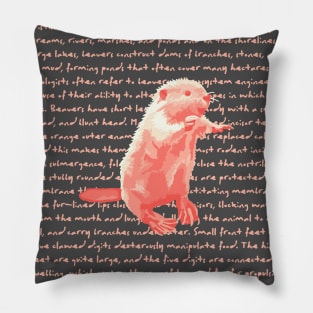 Peachy Beaver Info Pillow