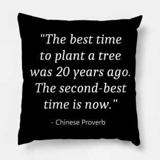 World Environment Day Pillow