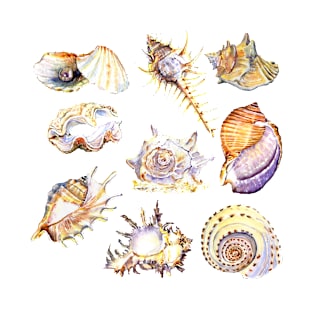 shell set watercolor illustration T-Shirt