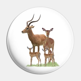 Impala-Family - Antelope in Kenya / Africa Pin