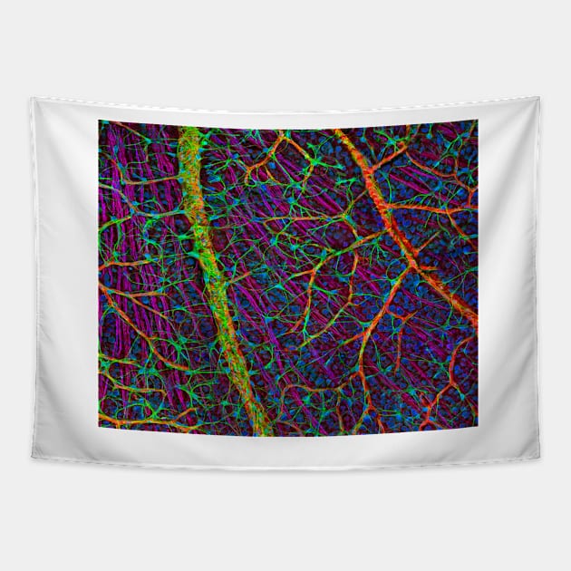 Retina blood vessels and nerve cells (C009/5825) Tapestry by SciencePhoto