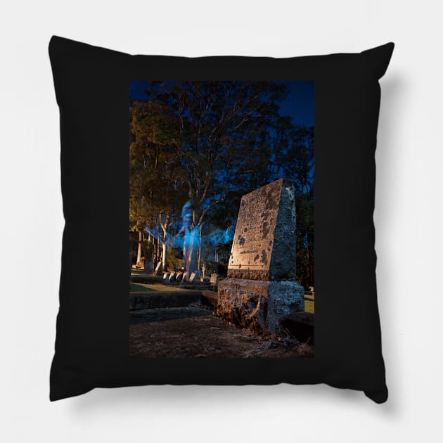 A Werewolf in the Graveyard Pillow by krepsher