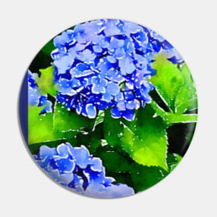“Cape Cod Blue” Summer hydrangea Pin