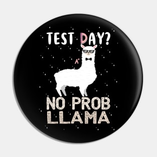 Best Gift Idea with Quote for Llama Lovers Pin