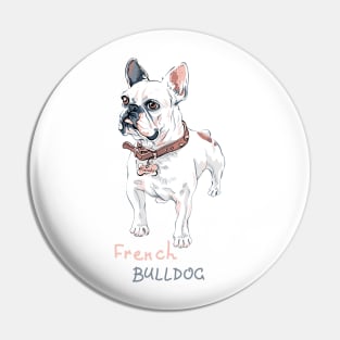 Domestic dog French Bulldog breed Pin