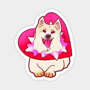 YOUR VALENTINE IS HERE (SHIBA SAMOYED) HEART PRESENT SHIRT Magnet