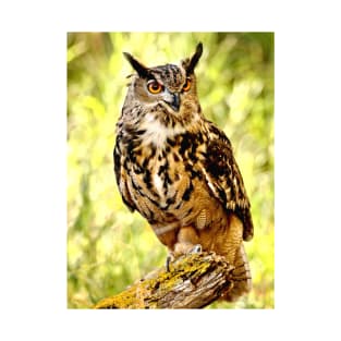 Eurasian Eagle Owl T-Shirt