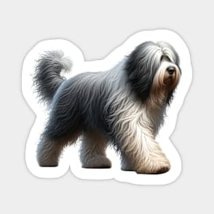 Bergamasco Sheepdog Magnet